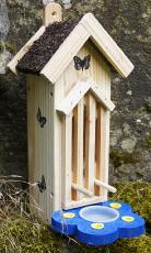 Butterfly & Bug Habitat / Feeder